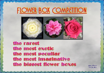 Flower Box Competition Poster