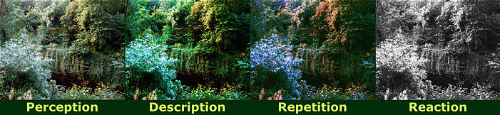 Perception Description Repetition Reaction